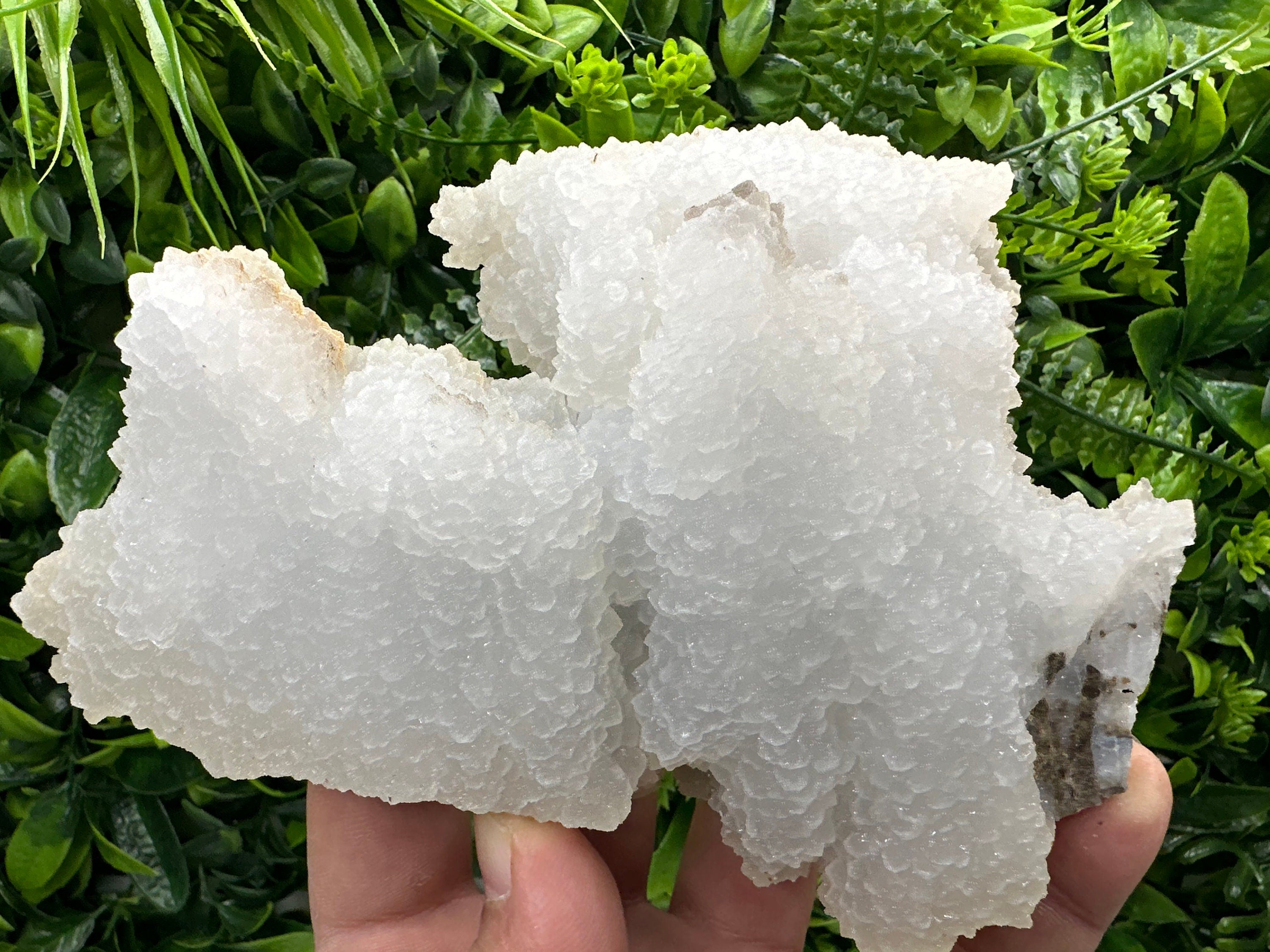 Chalcedony Quartz Cluster with Chlorite - Bulgaria Mineral Specimen