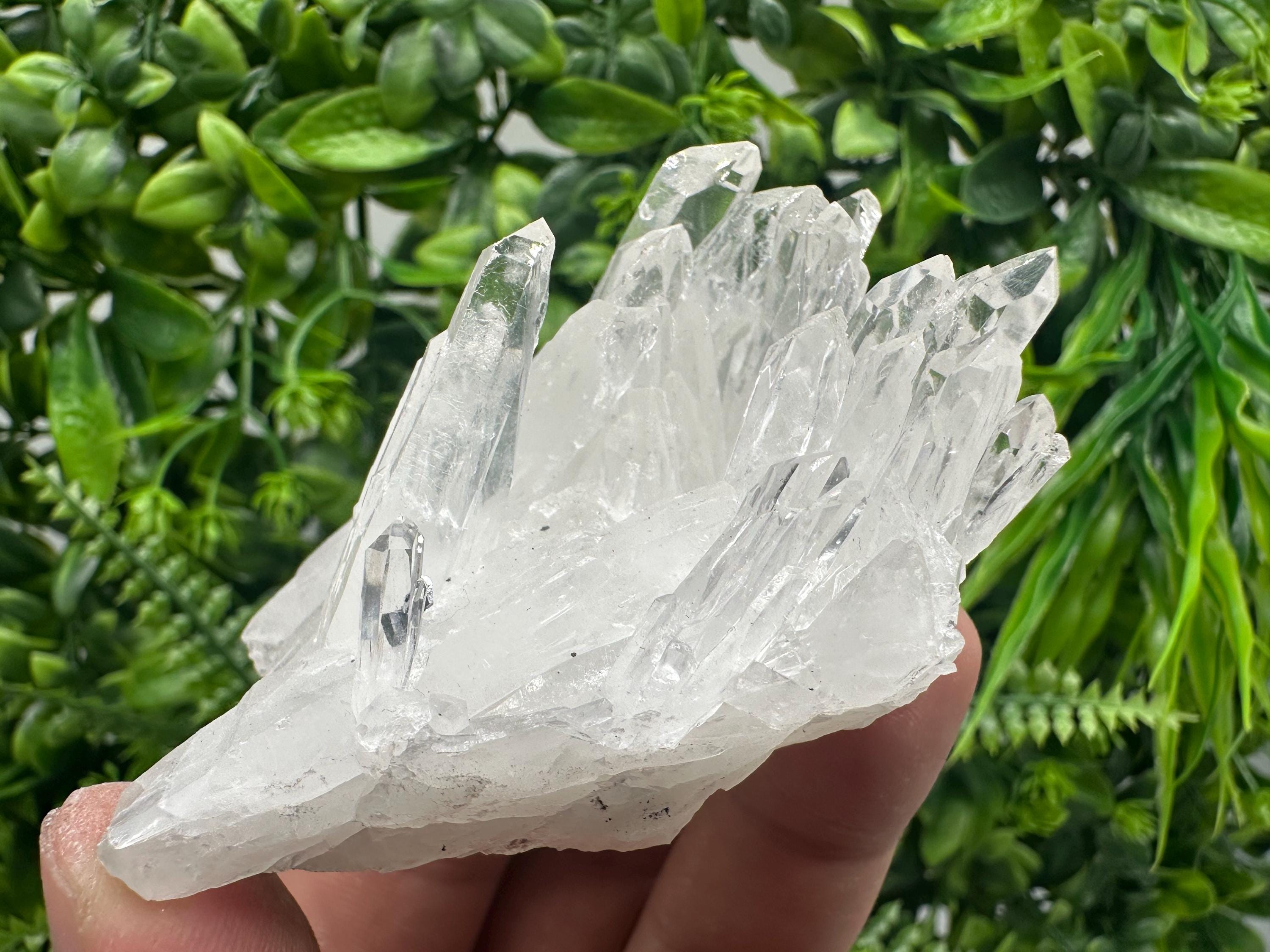 Transparent Quartz Cluster, Djurcovo Mine Bulgaria, Rare Crystal Specimen