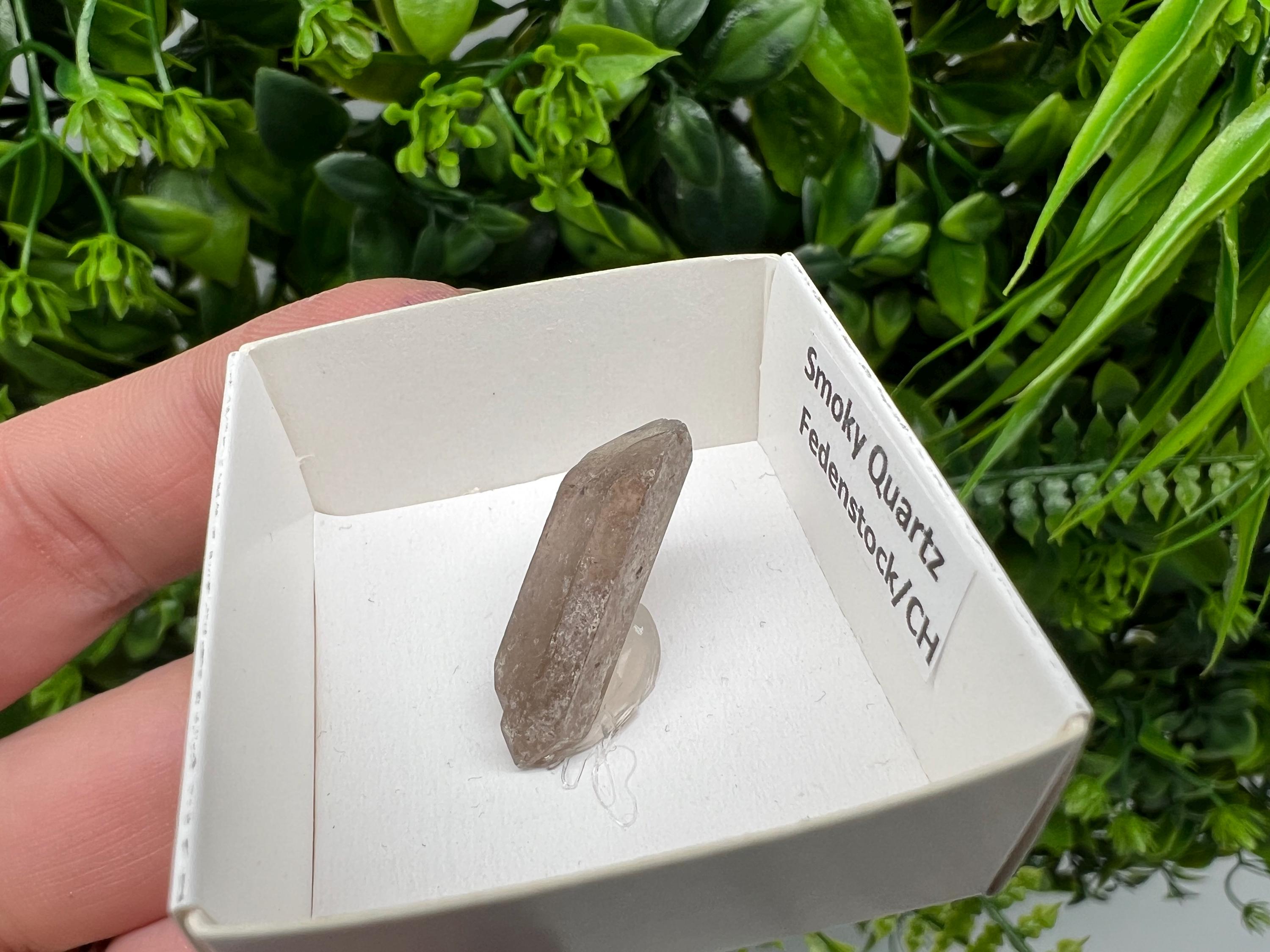 Rare Fedenstock Smoky Quartz Point, Swiss Mineral Specimen (25 MM)