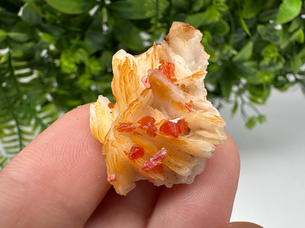 Red Vanadinite on Barite from Marocco,crystal minerals Speciment cluster Vanadinite crystal Vanadinite Geology Vanadinite cluster minerals