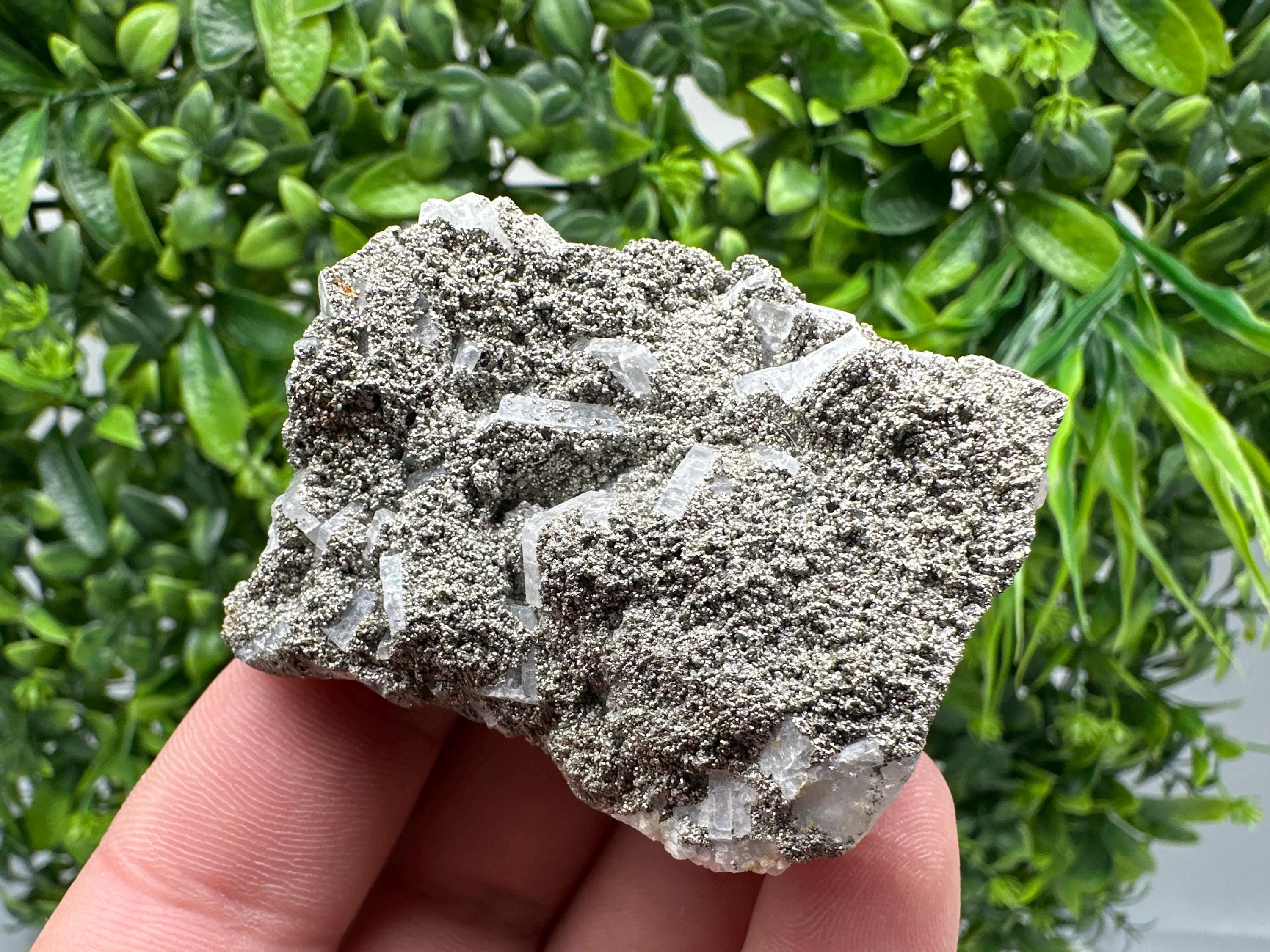 Barite Marcasite Cluster on Chalcedony - Androvo Mine, Bulgaria