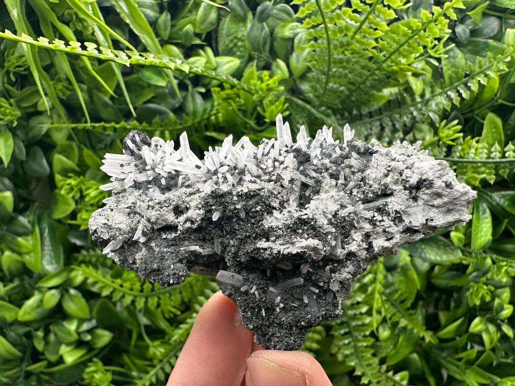 Quartz with Chlorite and Sphalerite, Borieva Mine Mineral Specimen