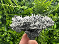 Quartz with Chlorite and Sphalerite, Borieva Mine Mineral Specimen