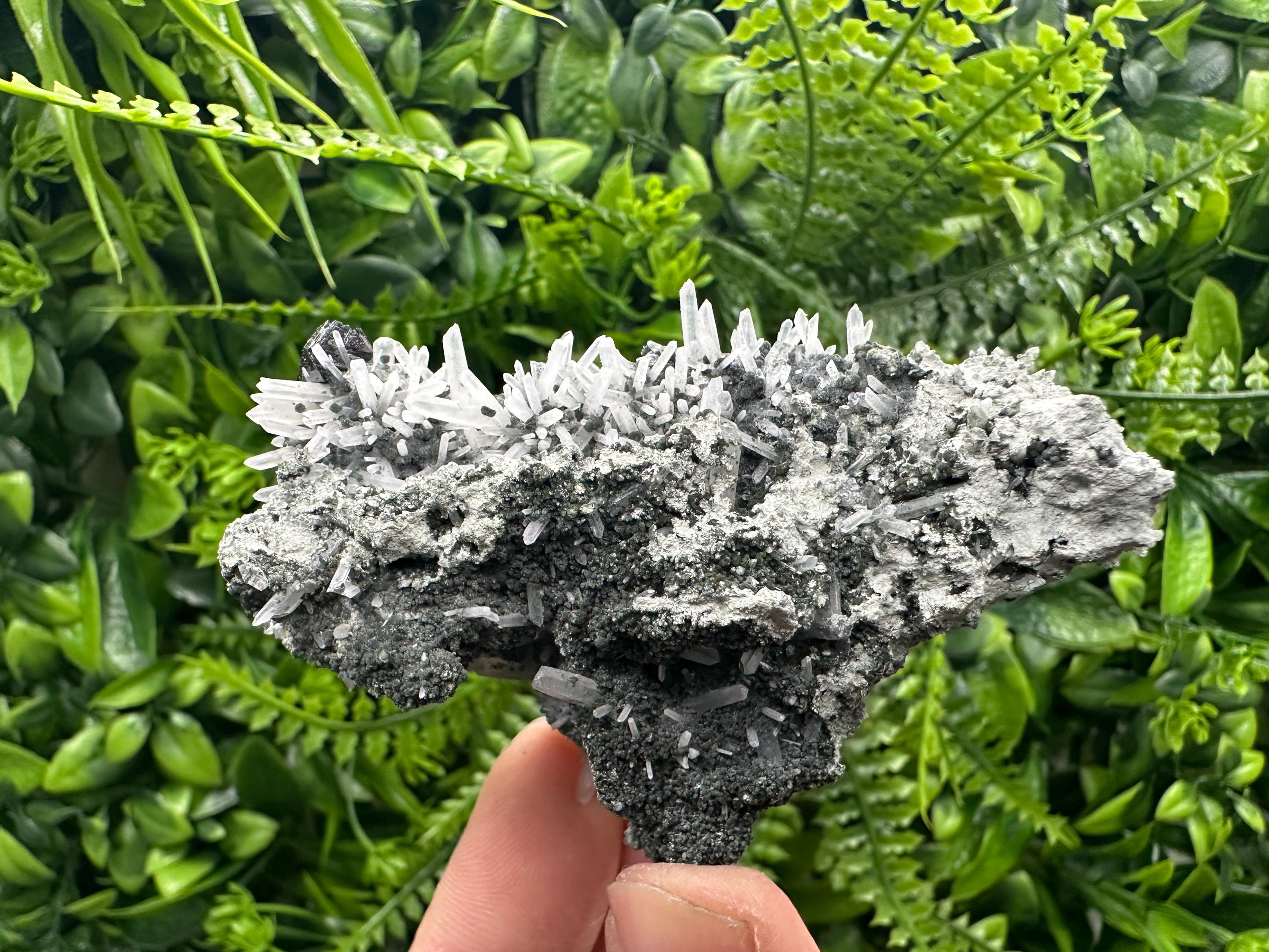 Quartz with Chlorite and Sphalerite, Borieva Mine Mineral Specimen