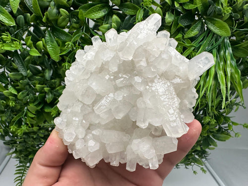 Calcite on Green Quartz: Djurcovo Mine, Bulgaria Healing Crystal