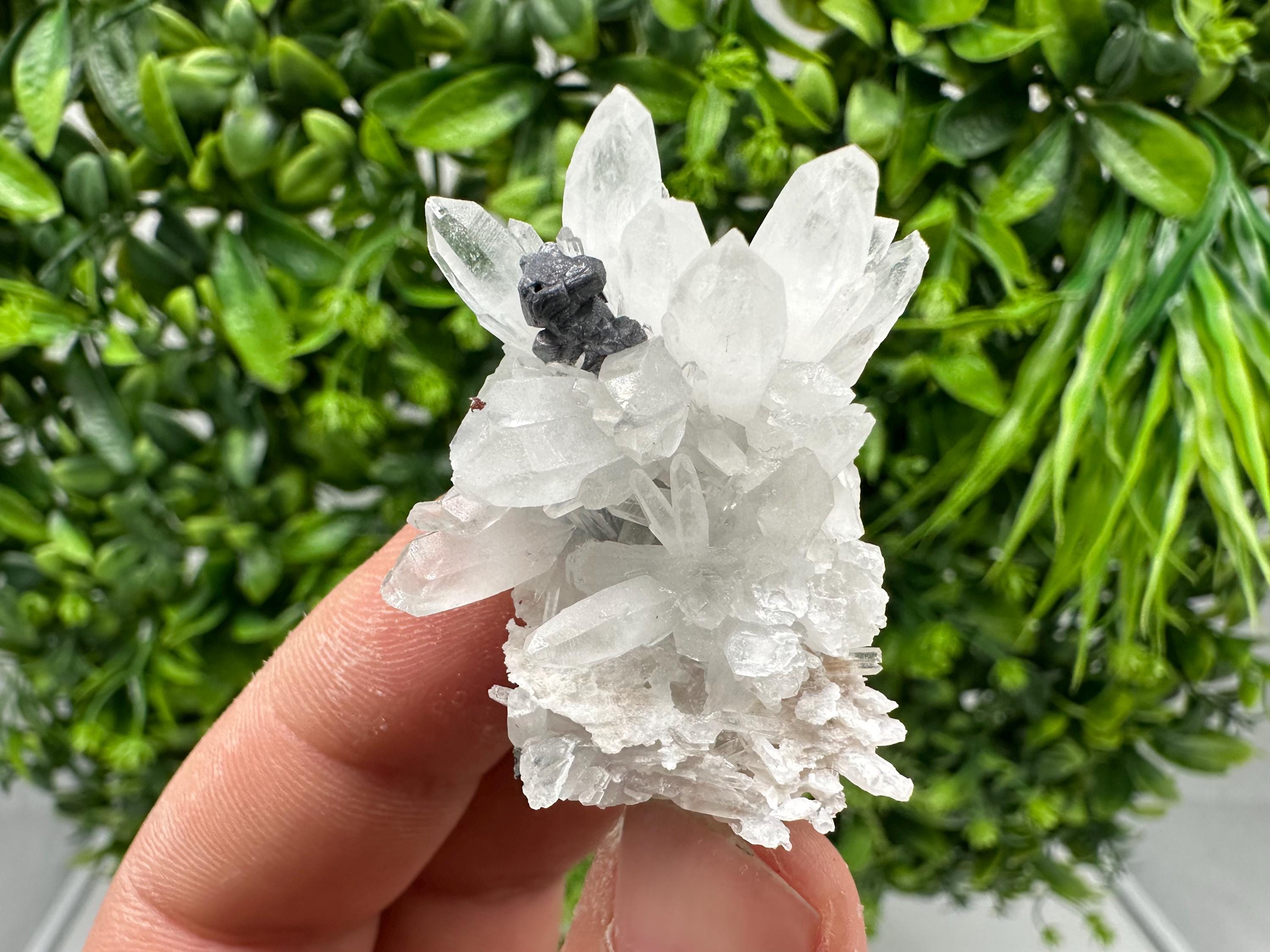 Stunning Sphalerite on  Quarzt from Borieva mine,Madan,Bulgaria,natural,collection mineral specimen,home decor crystal,gift,collection