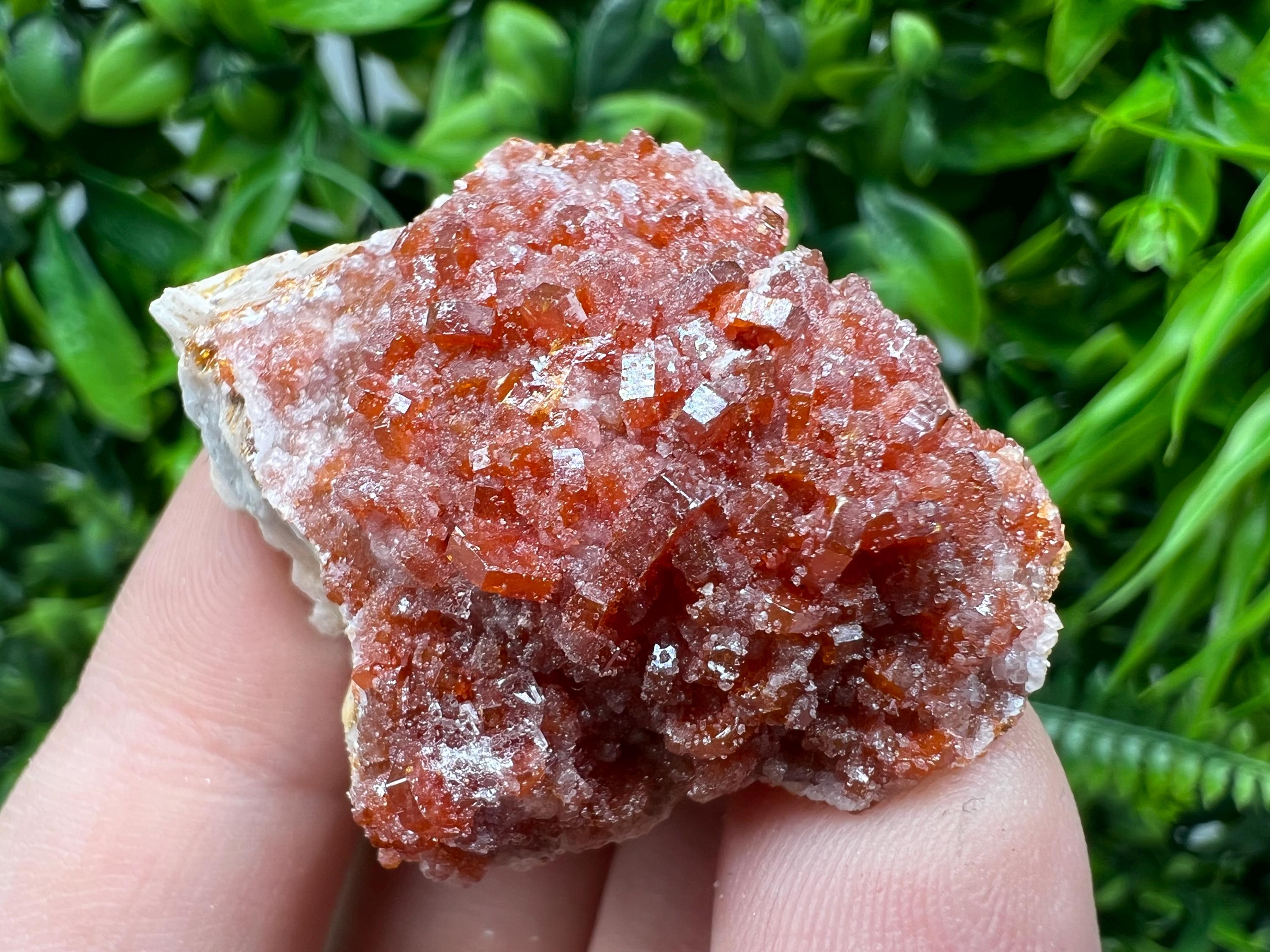 Red Vanadinite on Barite from Marocco,crystal minerals Speciment cluster Vanadinite crystal Vanadinite Geology Vanadinite cluster minerals