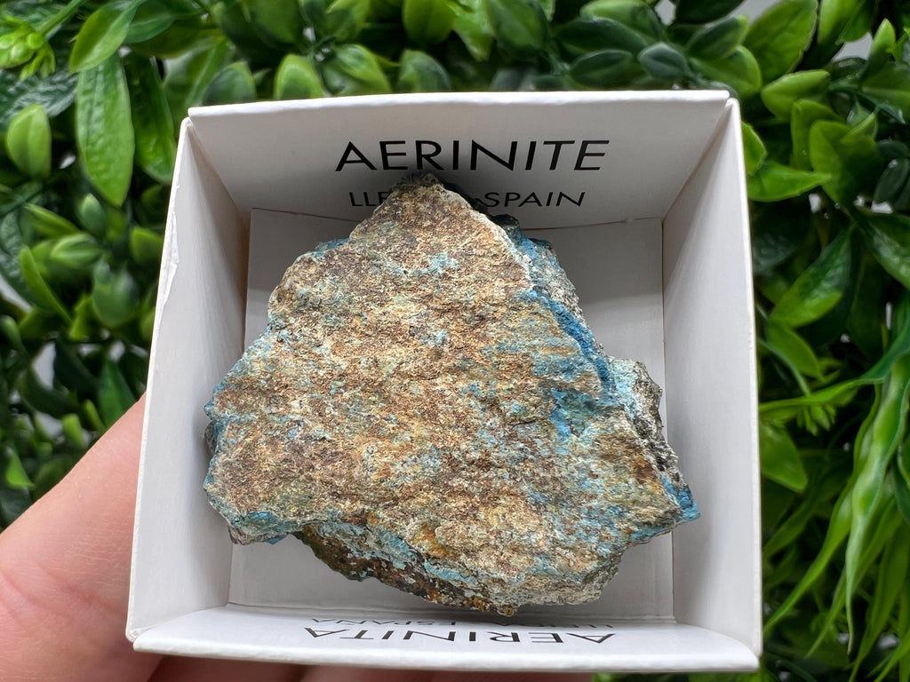 Rare Raw Aerinite Mineral Specimen: Collection Crystal from Lleida, Spain (3.5/3.5 CM)
