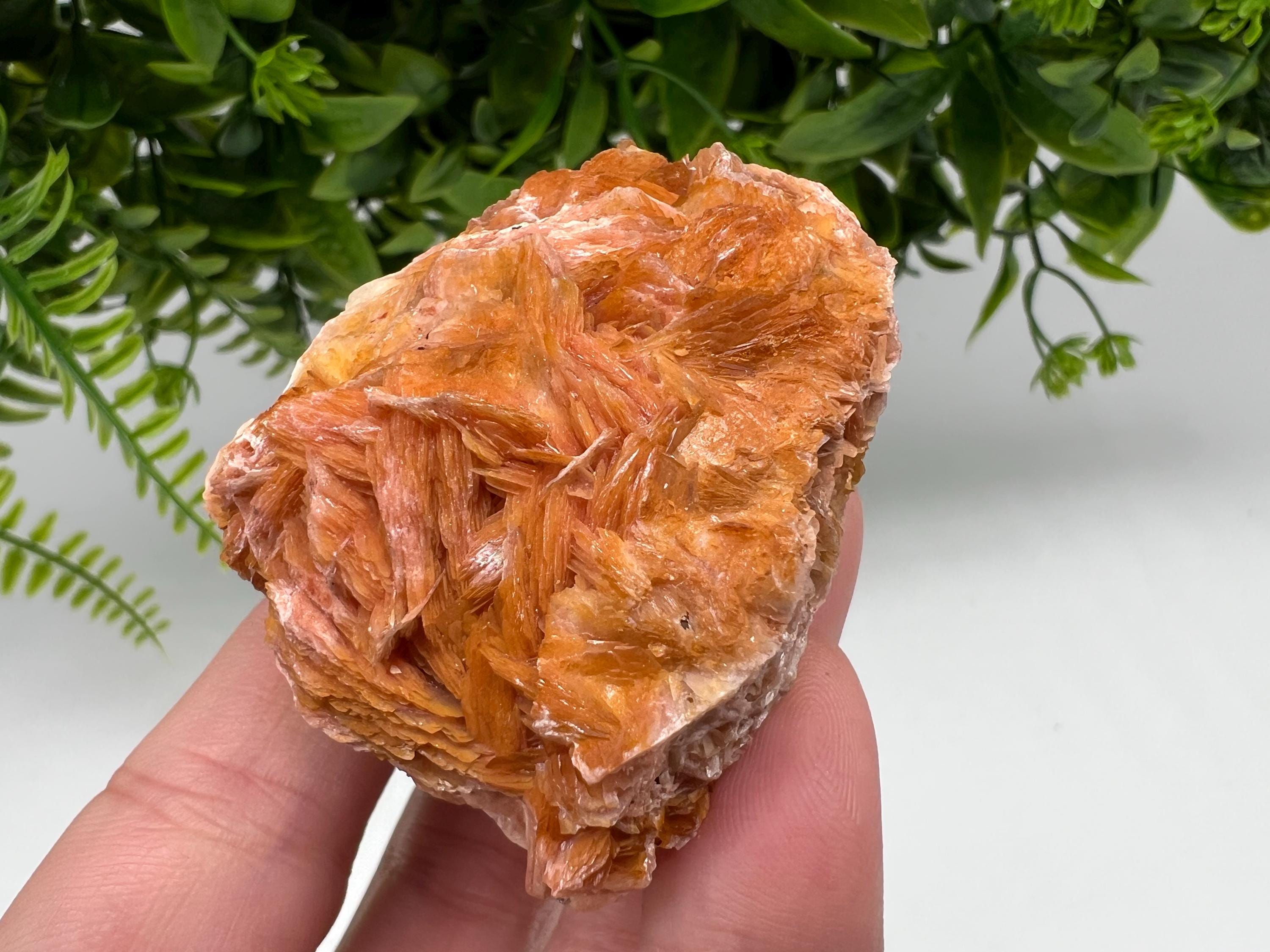 Wonderful Baryte with Cerussite on Galena from Morocco,Crystal, Mineral,Specimen,Cluster,Crystals,Barite Crystal,Cerussite Crystal,Specimen