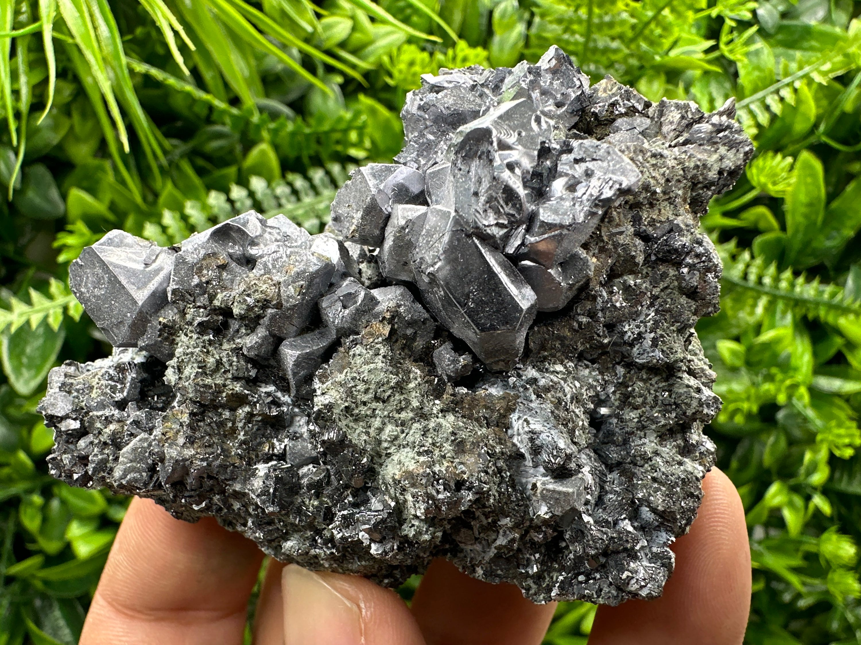 Galena Cluster on Matrix: Natural Mineral Specimen, Bulgaria