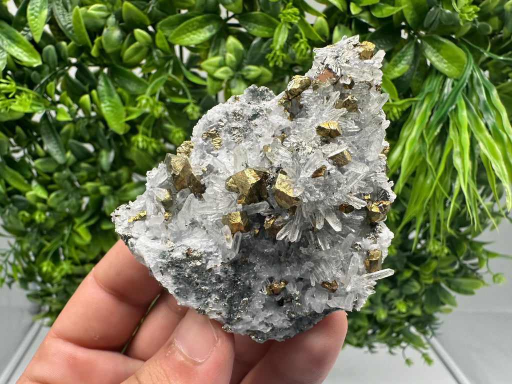 Chalcopyrite on Quartz, Chlorite Mineral Specimen, Bulgaria