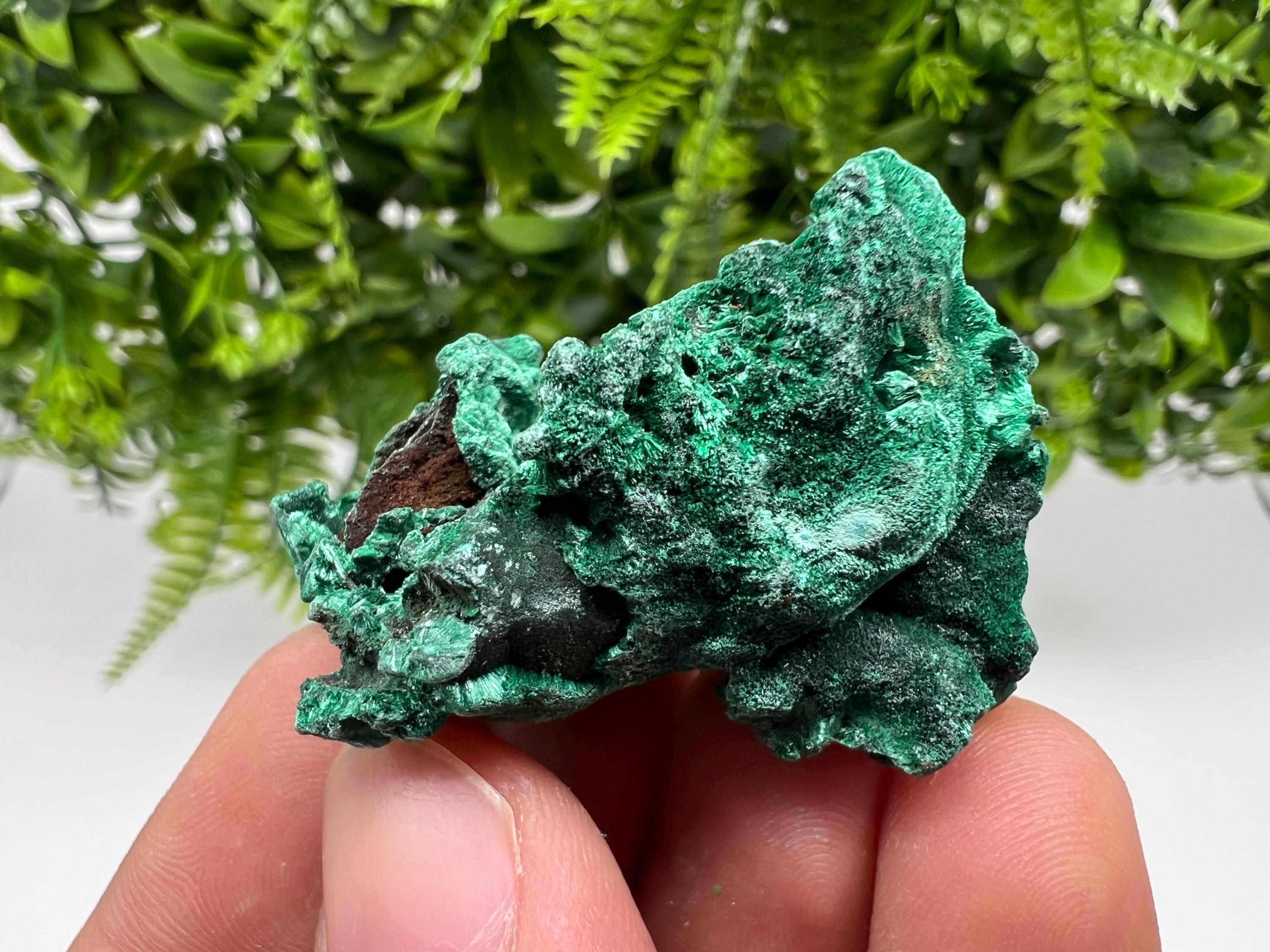 Malachite Crystal from Congo,Minerals,Crystals from Congo,Green Malachite, Malachite,Natural Malachite,Malachite Stone,Chakra, Specimens