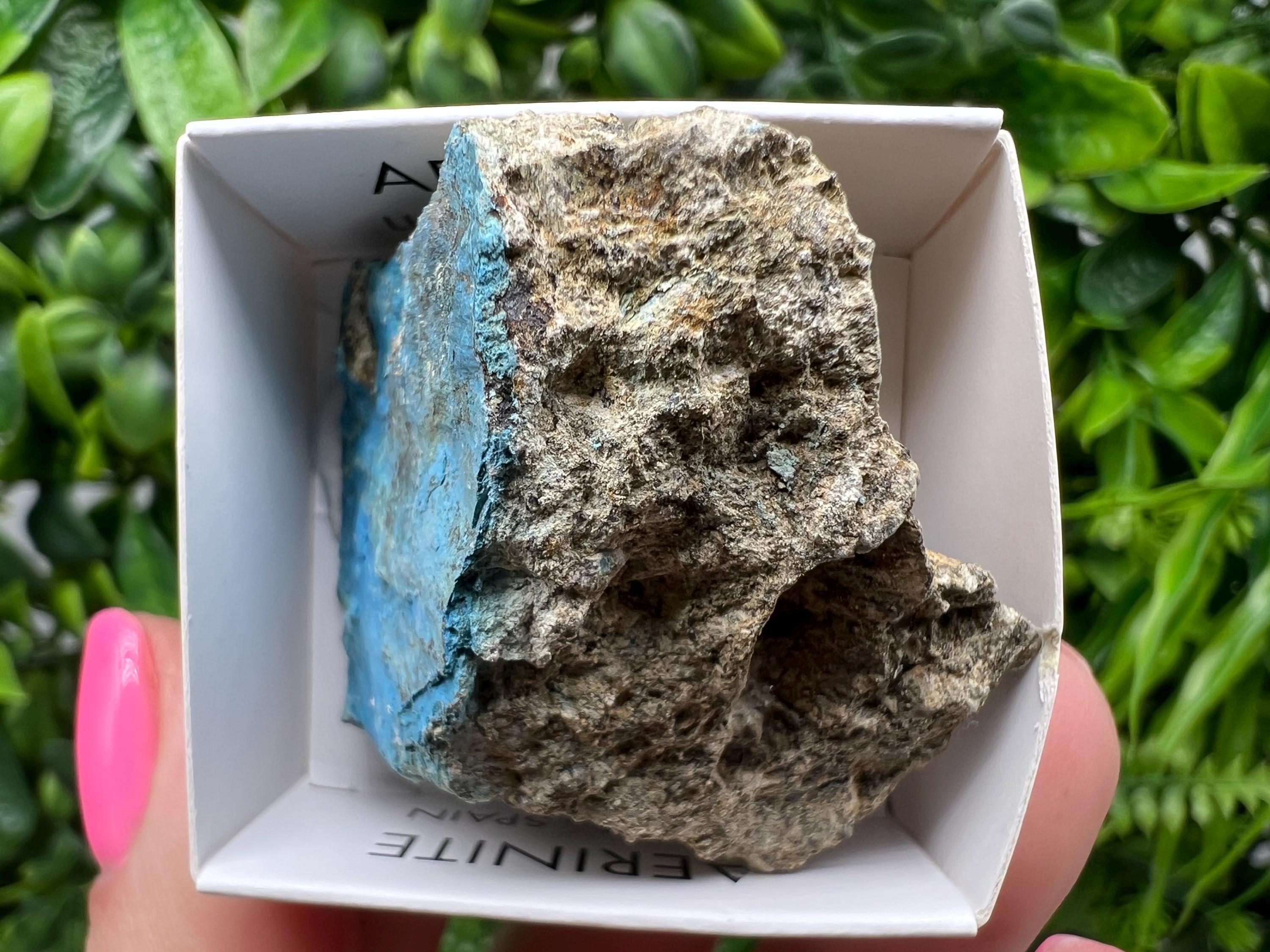 Rare Raw Aerinite Mineral Specimen: Lleida Spain Collection Crystal