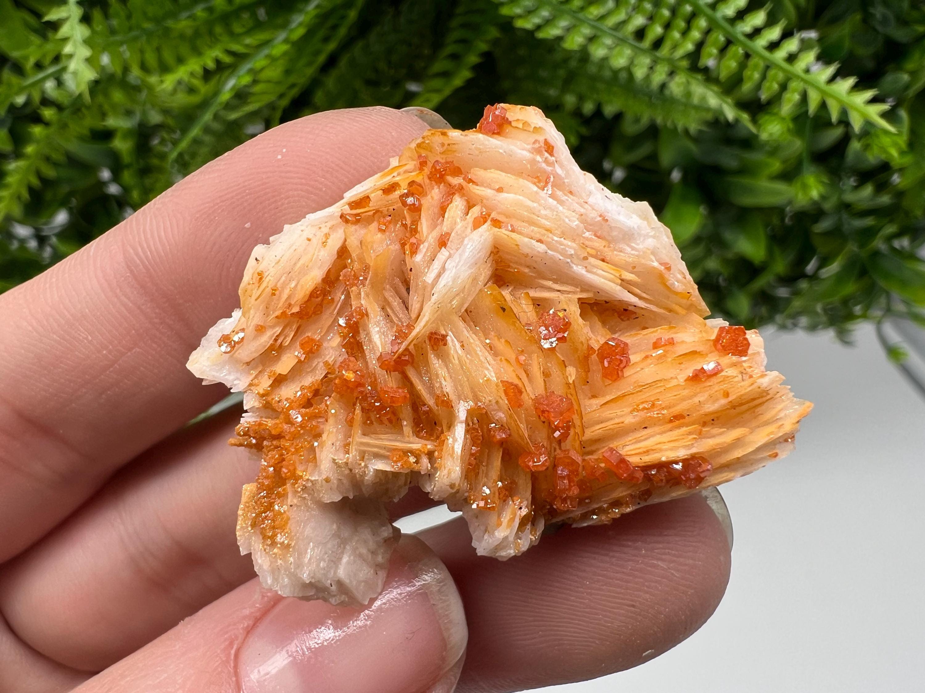 Red Vanadinite on Barite, Morocco Crystal Mineral Specimen