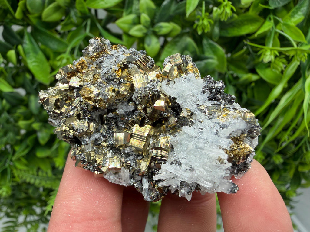 Pyrite Sphalerite Quartz  Mineral Specimen, Krushev dol Mine