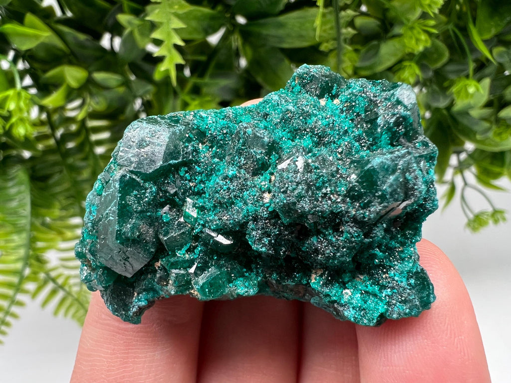 Stunning Green Dioptase from Sanda Hills,Mindouli,Pool Department,Mindouli District,Congo,green Dioptase,Dioptas Crystal,Dioptase collecting
