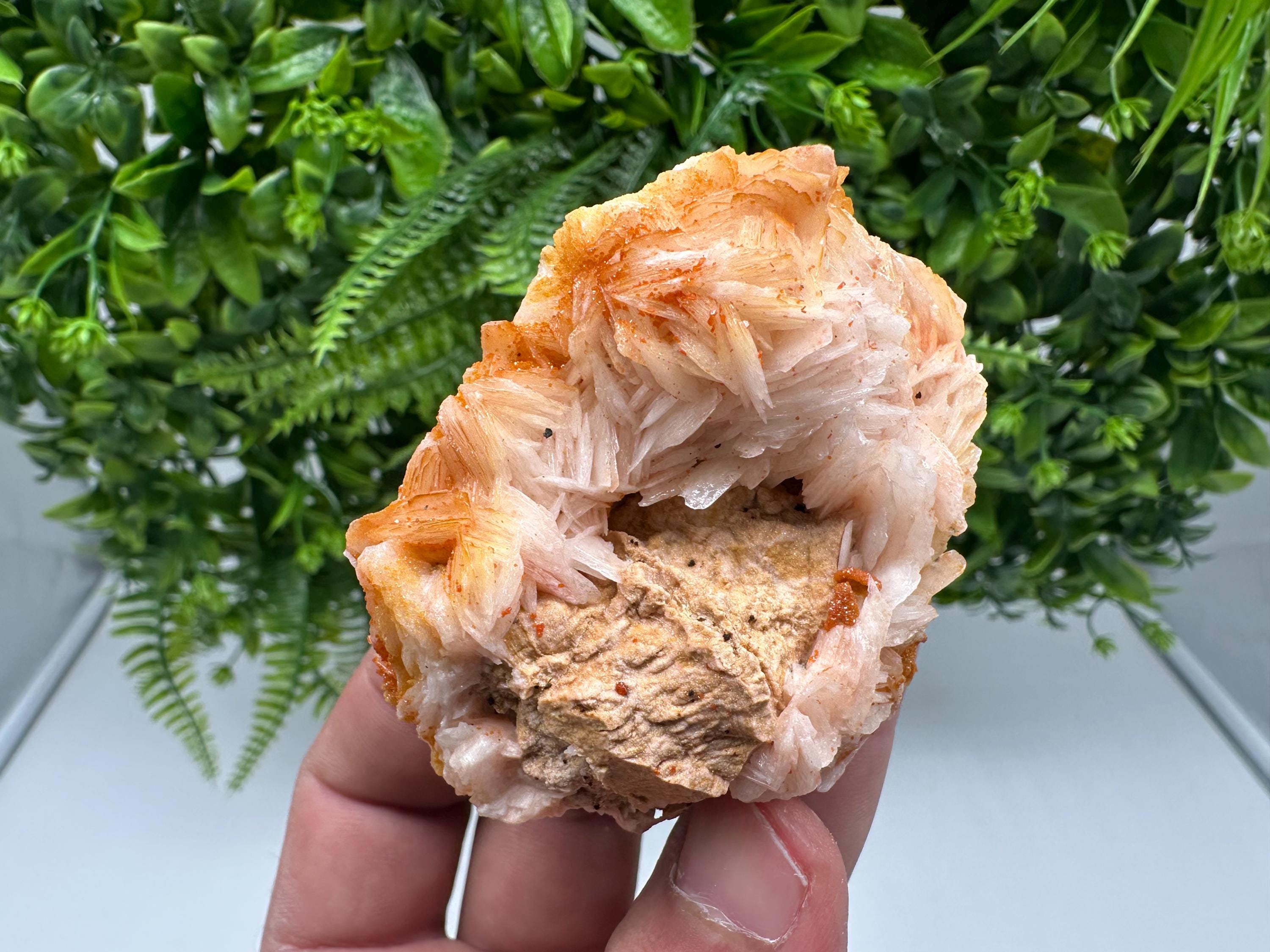 Red Vanadinite on Barite from Marocco,crystal minerals Speciment cluster Vanadinite crystal Vanadinite Geology Vanadinite cluster minerals
