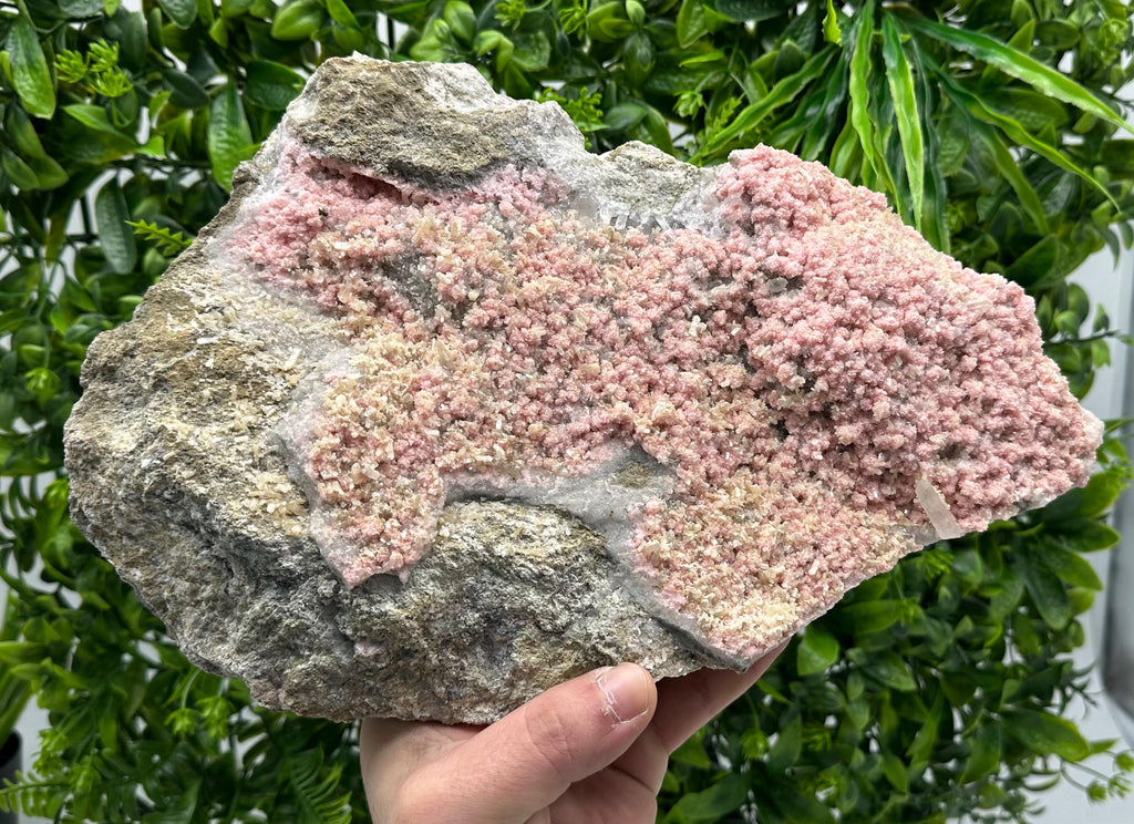 Large Rhodochrosite with Stilbite & Quartz, Bulgarian Mineral Specimen