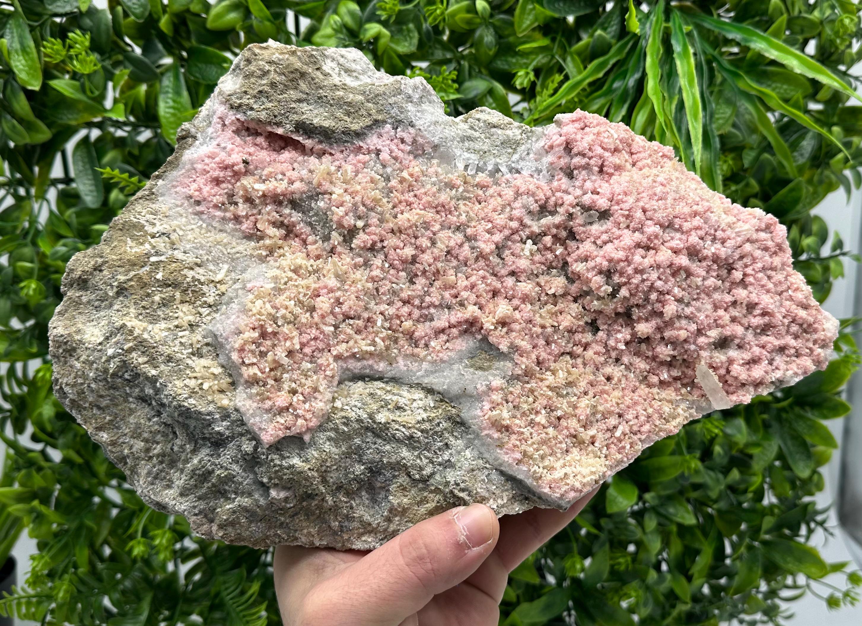 Large Rhodochrosite with Stilbite & Quartz, Bulgarian Mineral Specimen