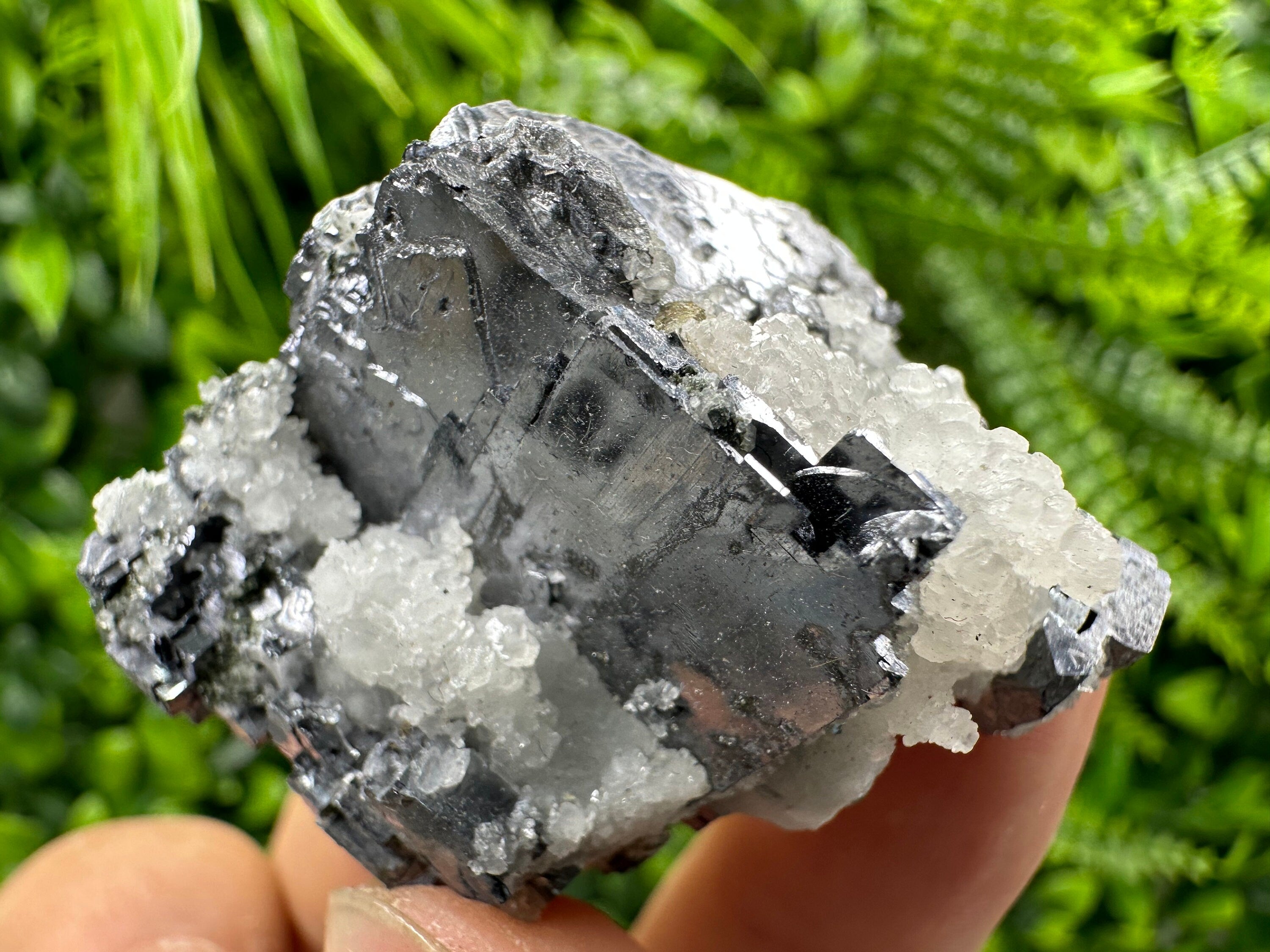 Galena with Calcite: Natural Mineral Specimen, Borieva Mine, Bulgaria