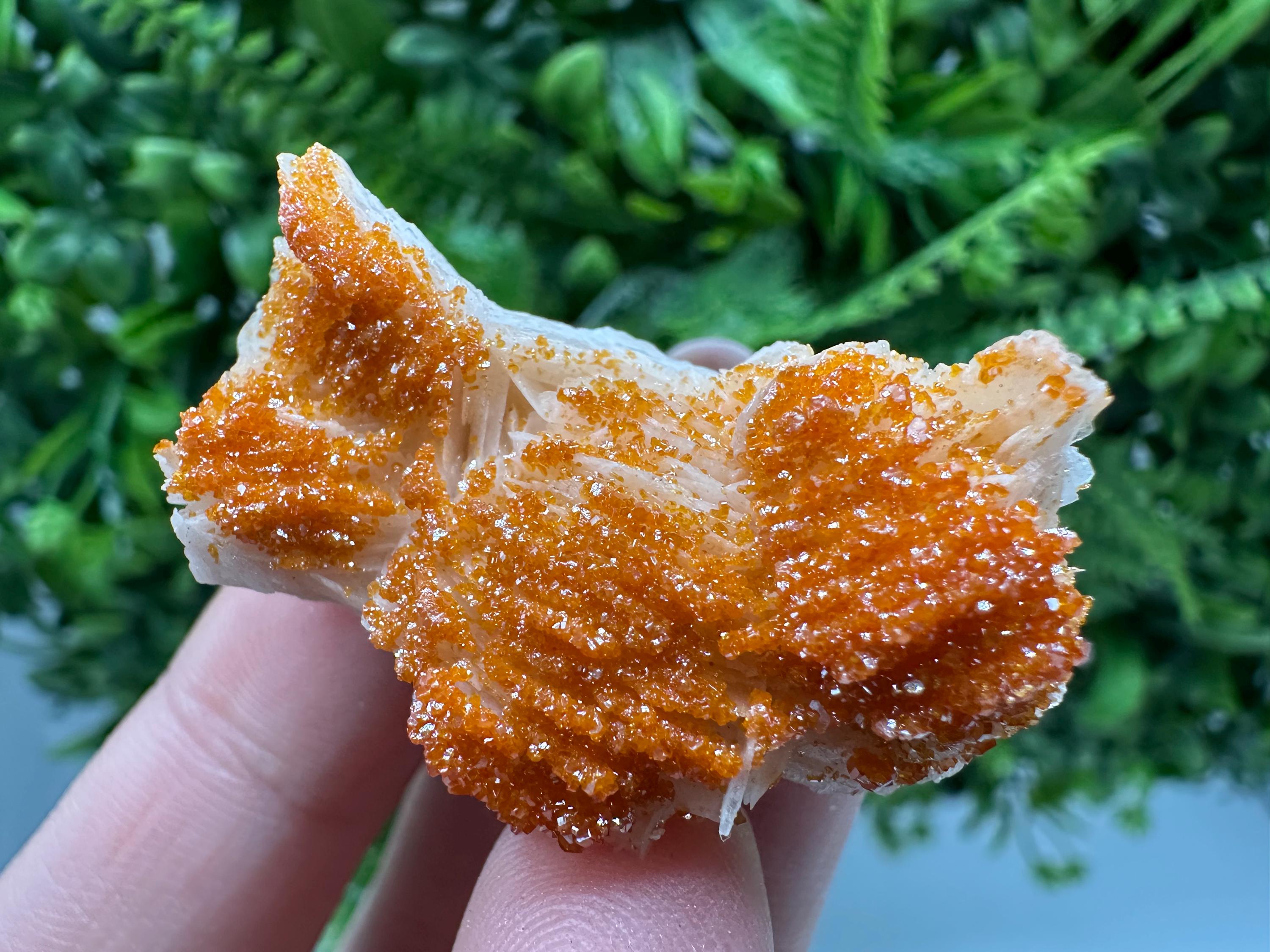 Red Vanadinite on Barite, Moroccan Crystal Specimen