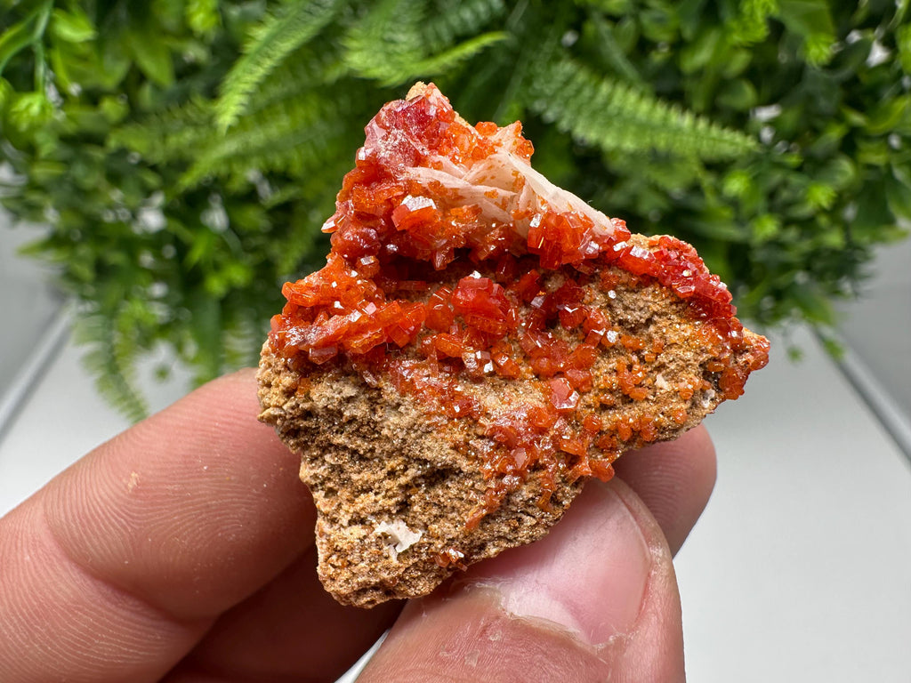 Red Vanadinite on Barite from Marocco,crystal minerals Speciment cluster Vanadinite crystal Vanadinite Geology Vanadinite cluster minerals