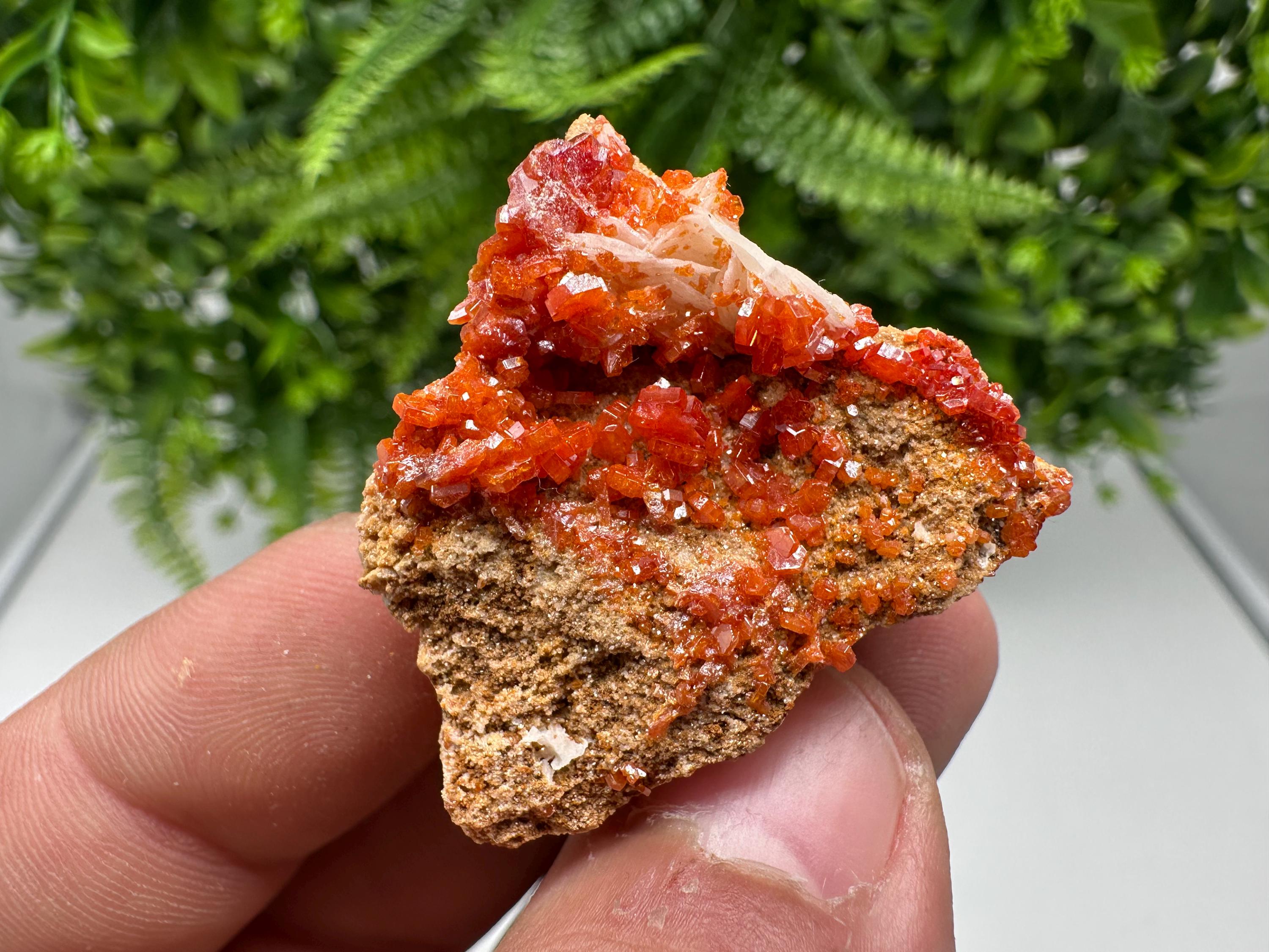 Red Vanadinite on Barite from Marocco,crystal minerals Speciment cluster Vanadinite crystal Vanadinite Geology Vanadinite cluster minerals