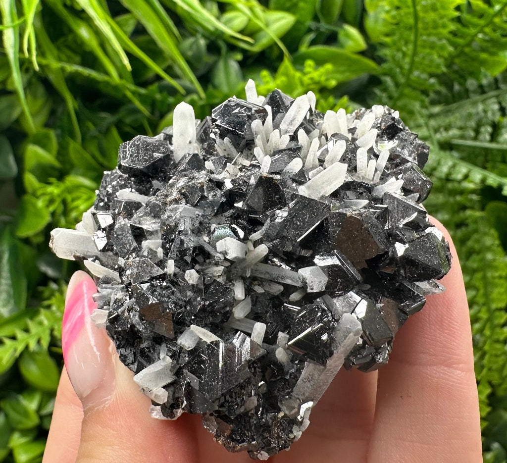 Borieva Mine Sphalerite on Quartz: Rare Mineral Cluster
