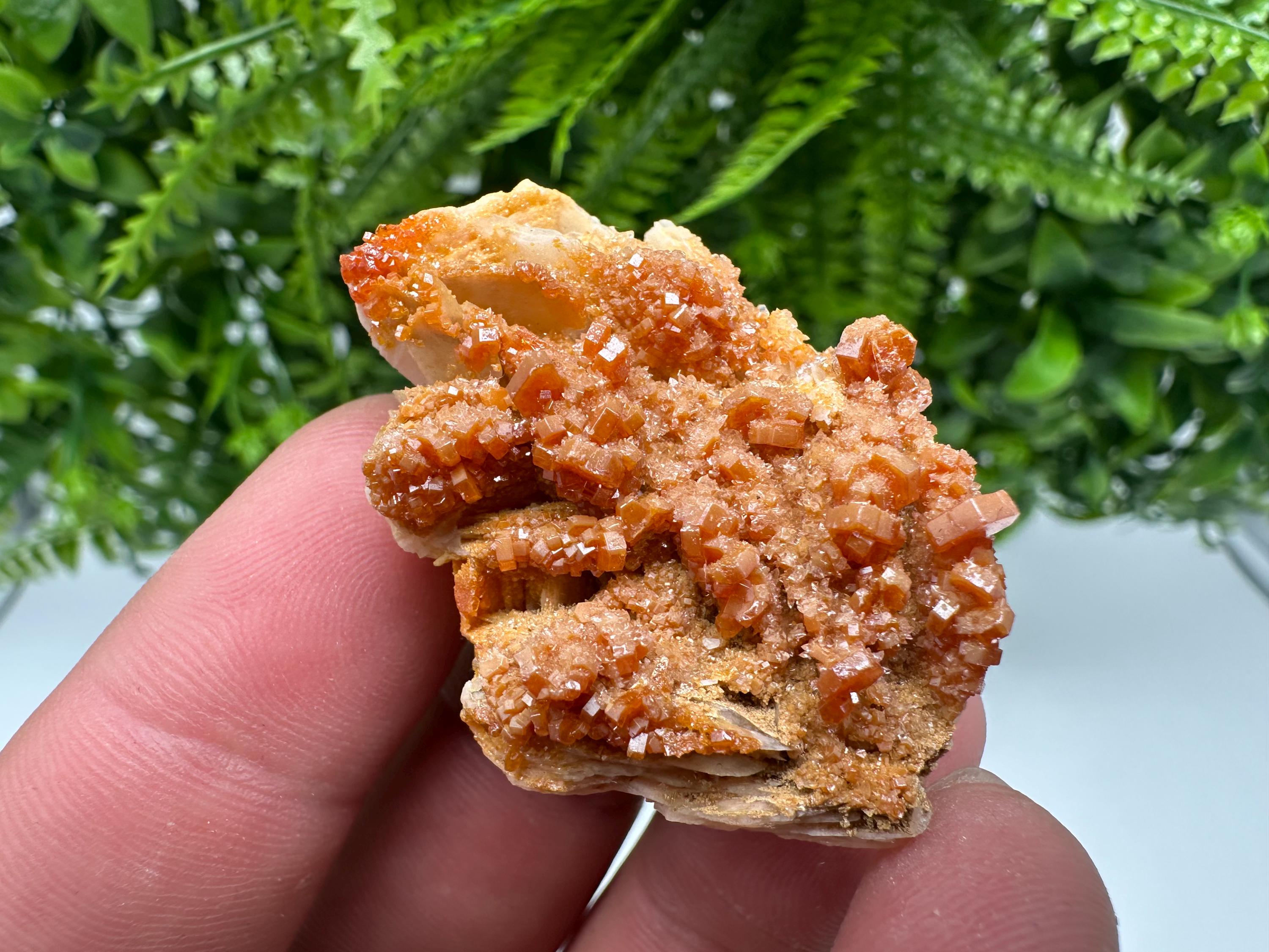 Red Vanadinite on Barite Specimen, Morocco Crystal Cluster