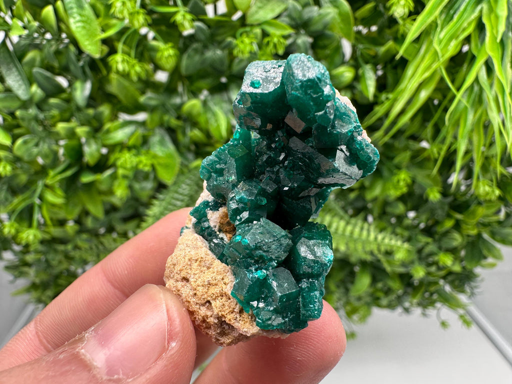 Stunning Green Dioptase from Sanda Hills,Mindouli,Pool Department,Mindouli District,Congo,green Dioptase,Dioptas Crystal,Dioptase collecting