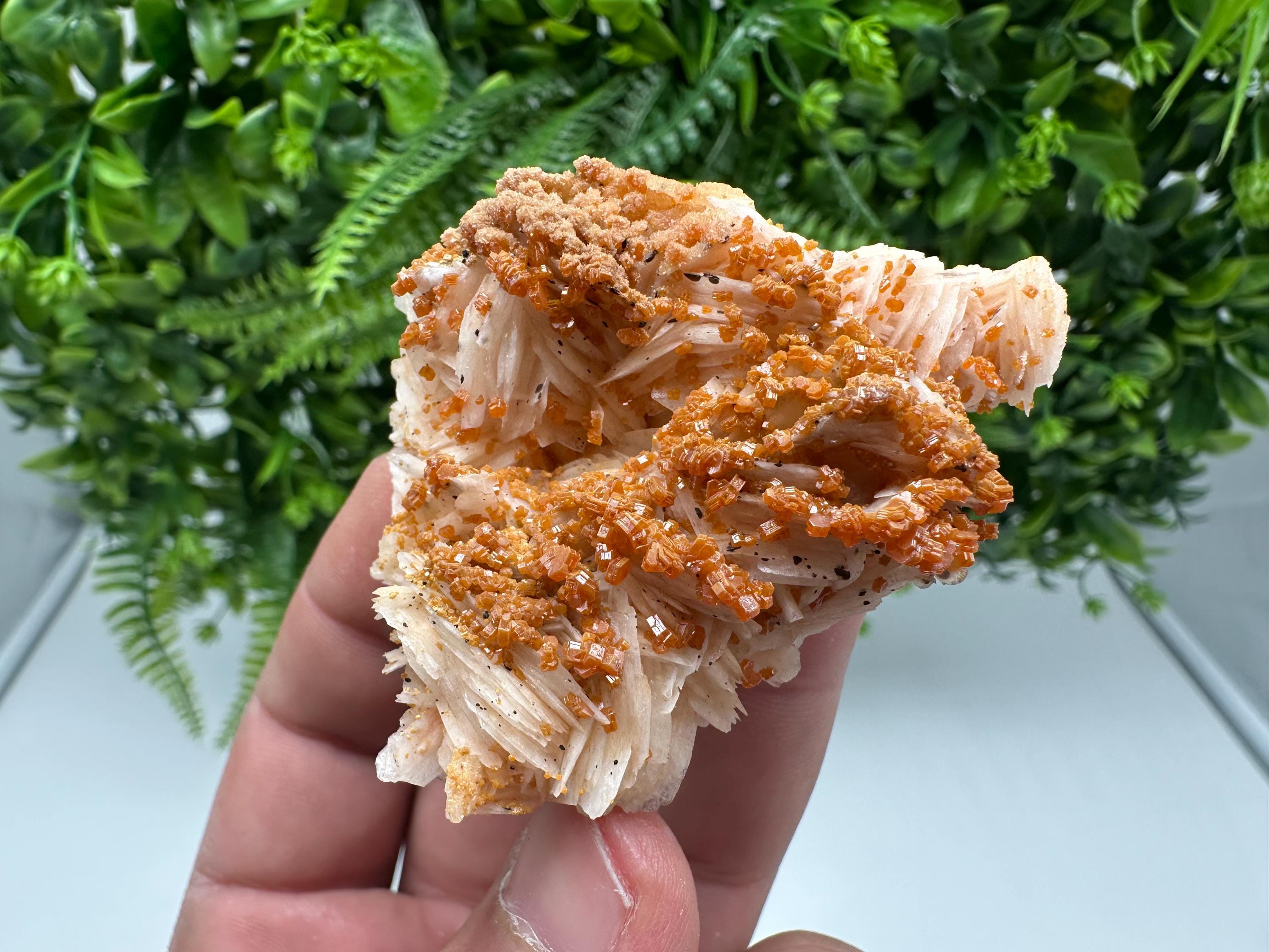 Red Vanadinite on Barite from Marocco,crystal minerals Speciment cluster Vanadinite crystal Vanadinite Geology Vanadinite cluster minerals
