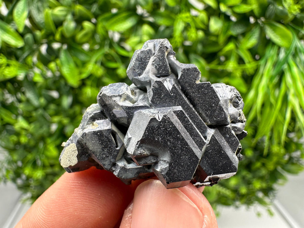 Very Rare Galena,extra mirror,Galena cubes  from Marzyan mine,Zlatograd area,Bulgaria,natural,Collection mineral specimen,home decor stone