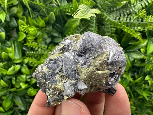 Chalcopyrite with Galena Mineral Specimen: Krushev Dol Mine, Bulgaria