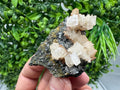 Quartz Crystal with Calcite and Chlorite - Borieva Mine, Bulgaria