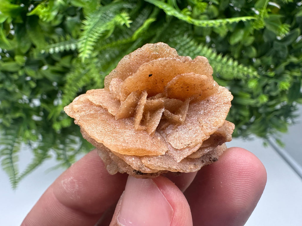 Desert Rose Crystal: Root Chakra Healing Selenite Stone
