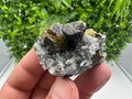 Stunning Chalcopyrite on Quartz,Chlorite From Djurcovo mine,Laki,Bulgaria,Natural,Collection mineral specimen,Home decor stone,Collection