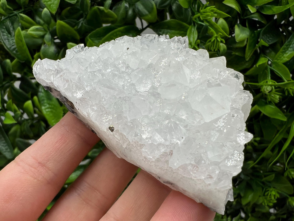 Transparent Quartz on Chlorite Matrix, Borieva Mine, Bulgaria