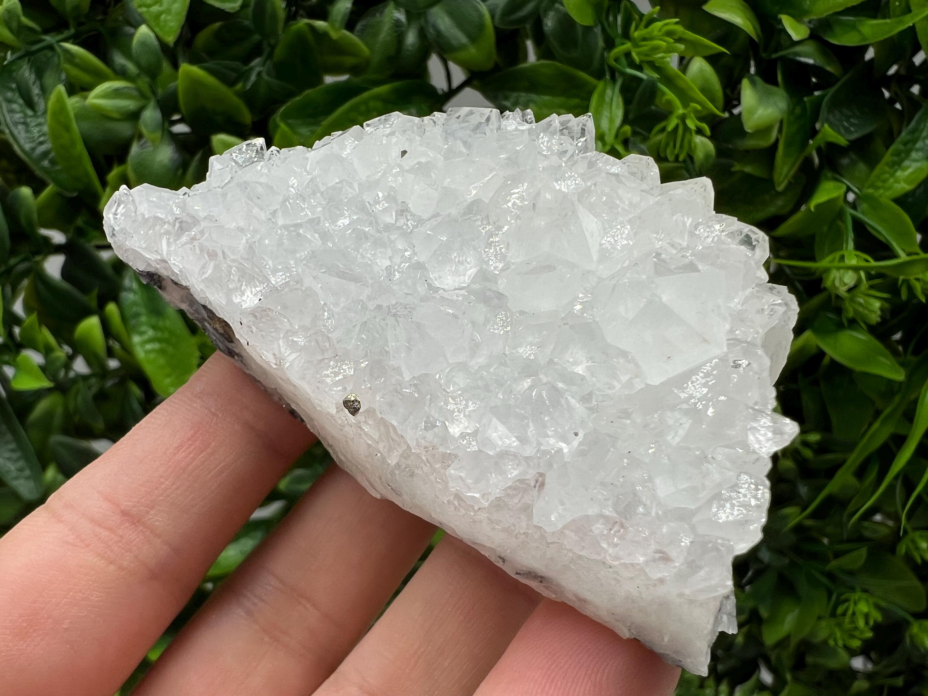 Transparent Quartz on Chlorite Matrix, Borieva Mine, Bulgaria