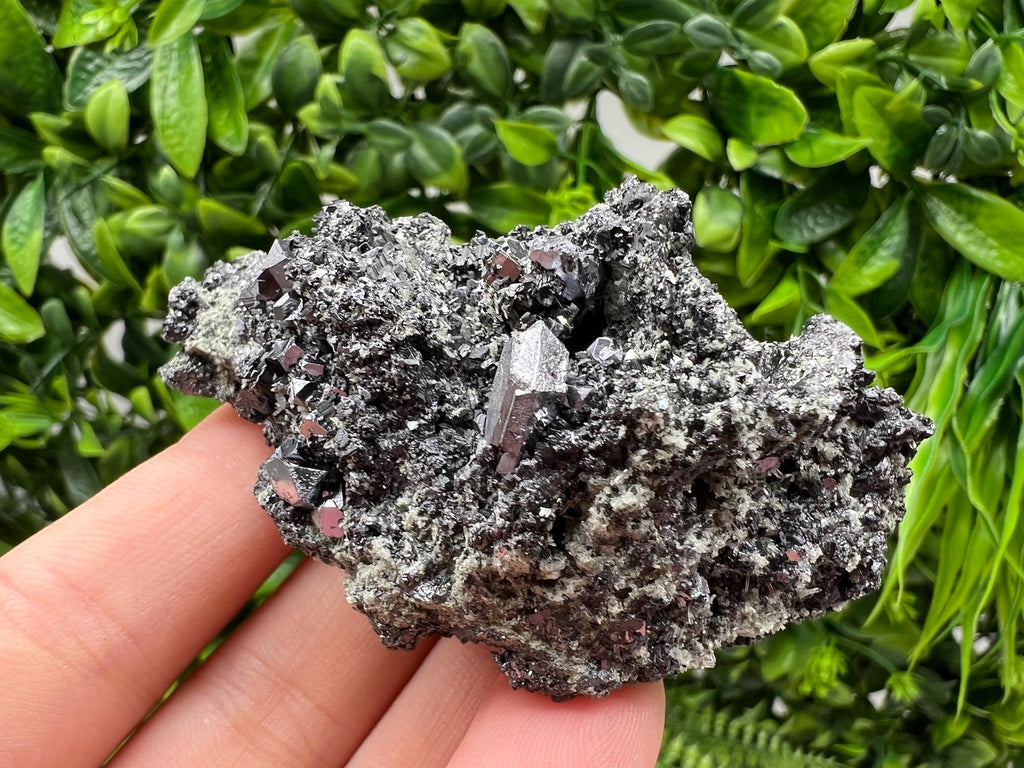 Sphalerite Galena with Chlorite, Borieva Mine Madan Bulgaria