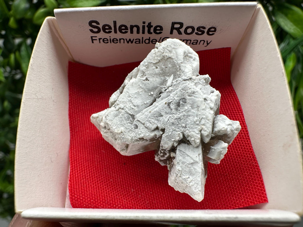Selenite Rose Freienwalde,Germany natural crystal minerals,specimen,clusters,souvenirs,home decor,gift minerals,rare stone,collection
