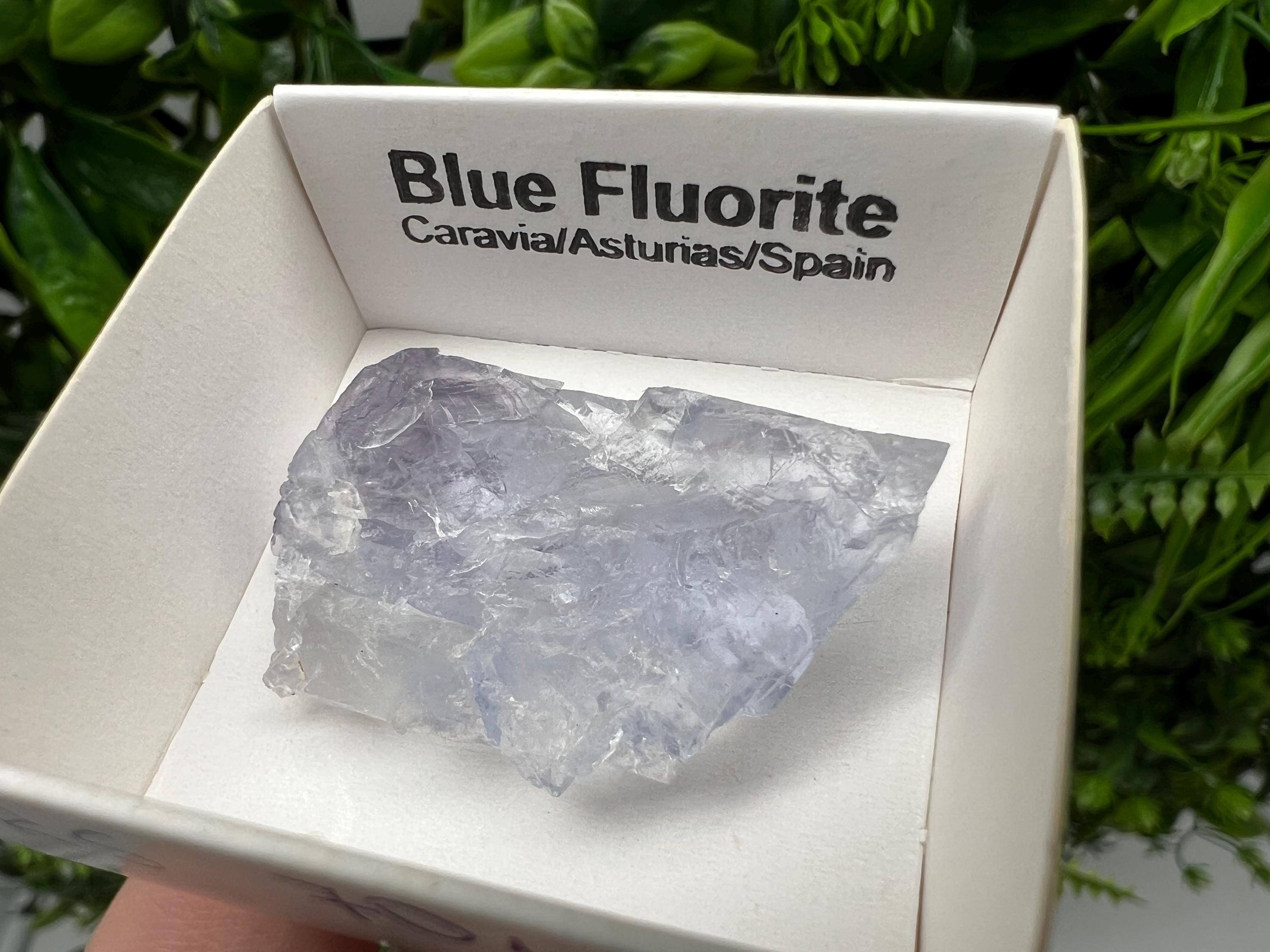 Blue Fluorite Mineral Specimen: Spain Collection (3.5/2.5 cm)