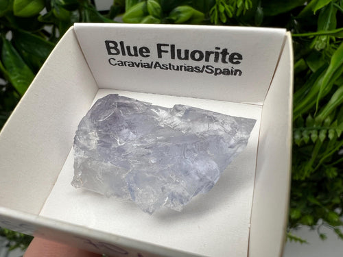 Blue Fluorite Mineral Specimen: Spain Collection (3.5/2.5 cm)