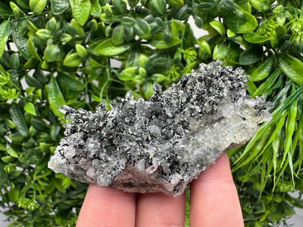 Chlorite Quartz Crystal Cluster - Borieva Mine, Bulgaria