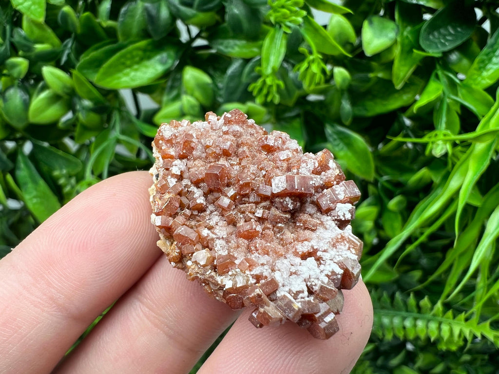 Red Vanadinite on Barite from Marocco,crystal minerals Speciment cluster Vanadinite crystal Vanadinite Geology Vanadinite cluster minerals