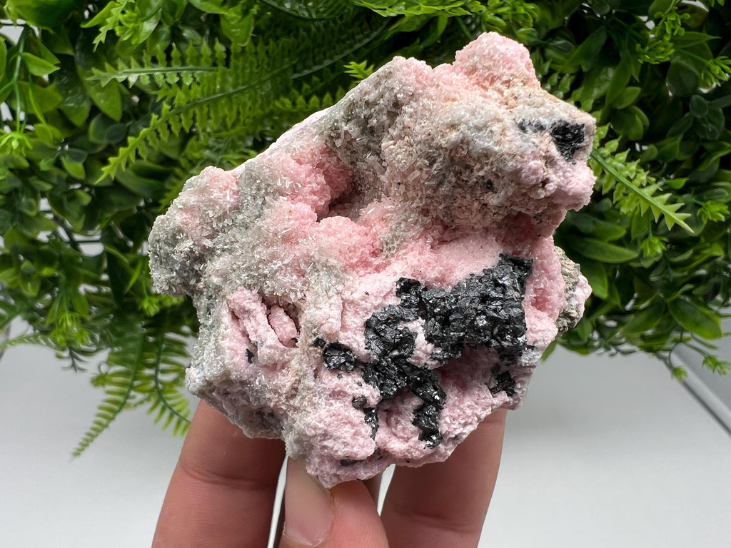 RARE Rhodochrosite with Calcite, Starnica Mine, Bulgaria