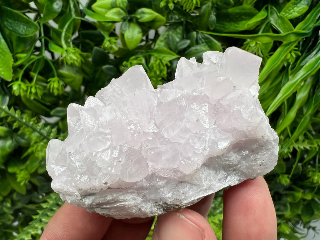 UV Reactive Mangano Calcite Crystal: Androvo Mine, Bulgaria