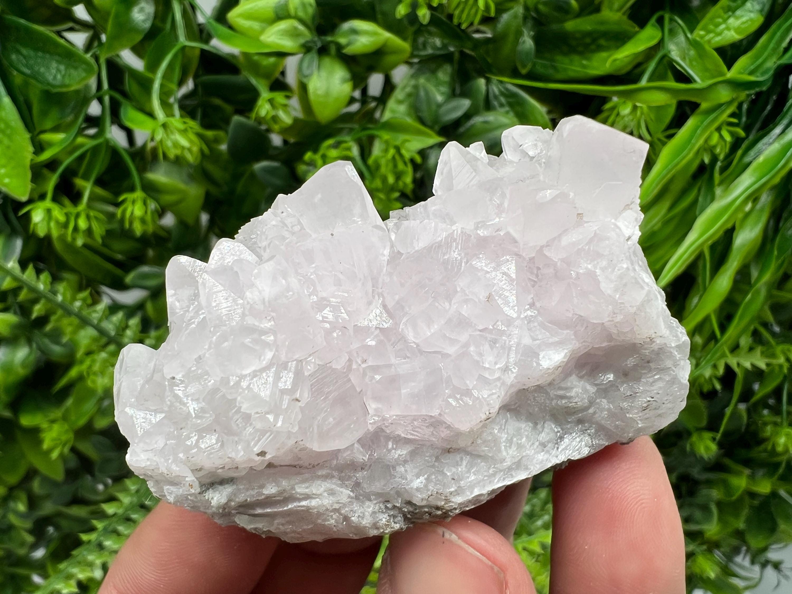 UV Reactive Mangano Calcite Crystal: Androvo Mine, Bulgaria