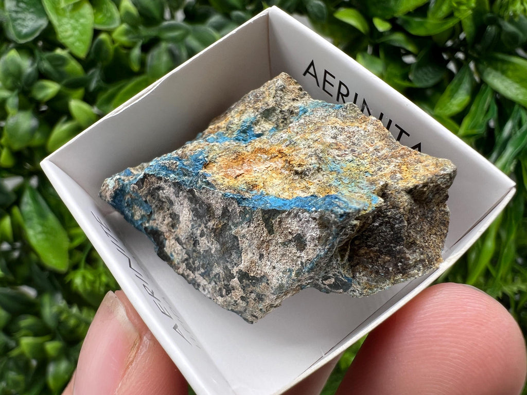 Rare Raw Aerinite Mineral Specimen: Lleida, Spain Crystal (4/3.5 CM)