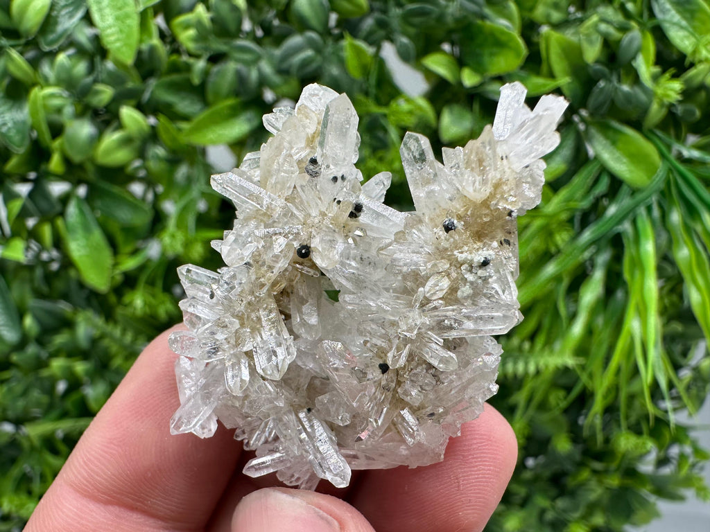 Transparent Quartz Crystal Specimen: Djurcovo Mine, Bulgaria