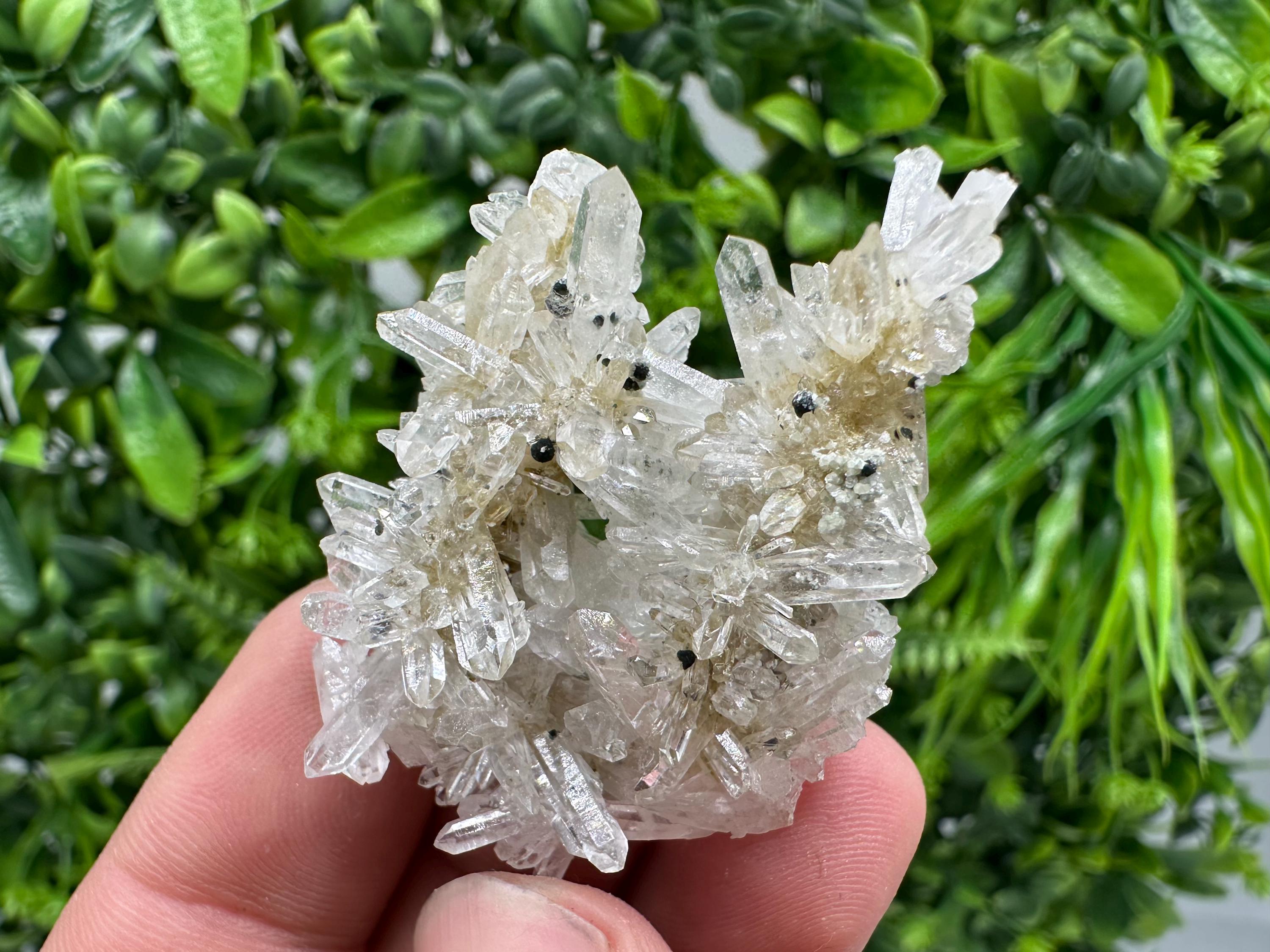 Transparent Quartz Crystal Specimen: Djurcovo Mine, Bulgaria